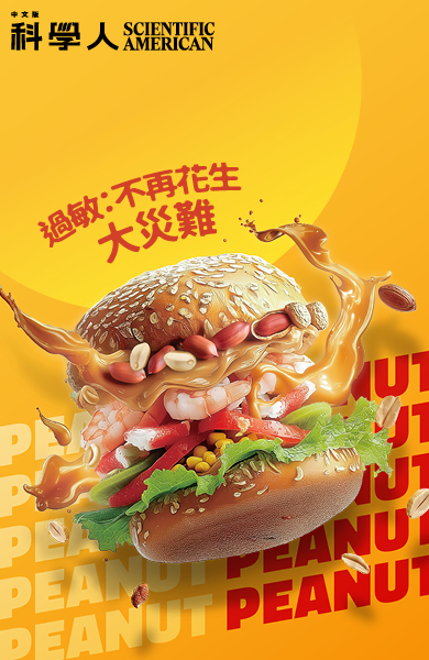 2025.10新刊