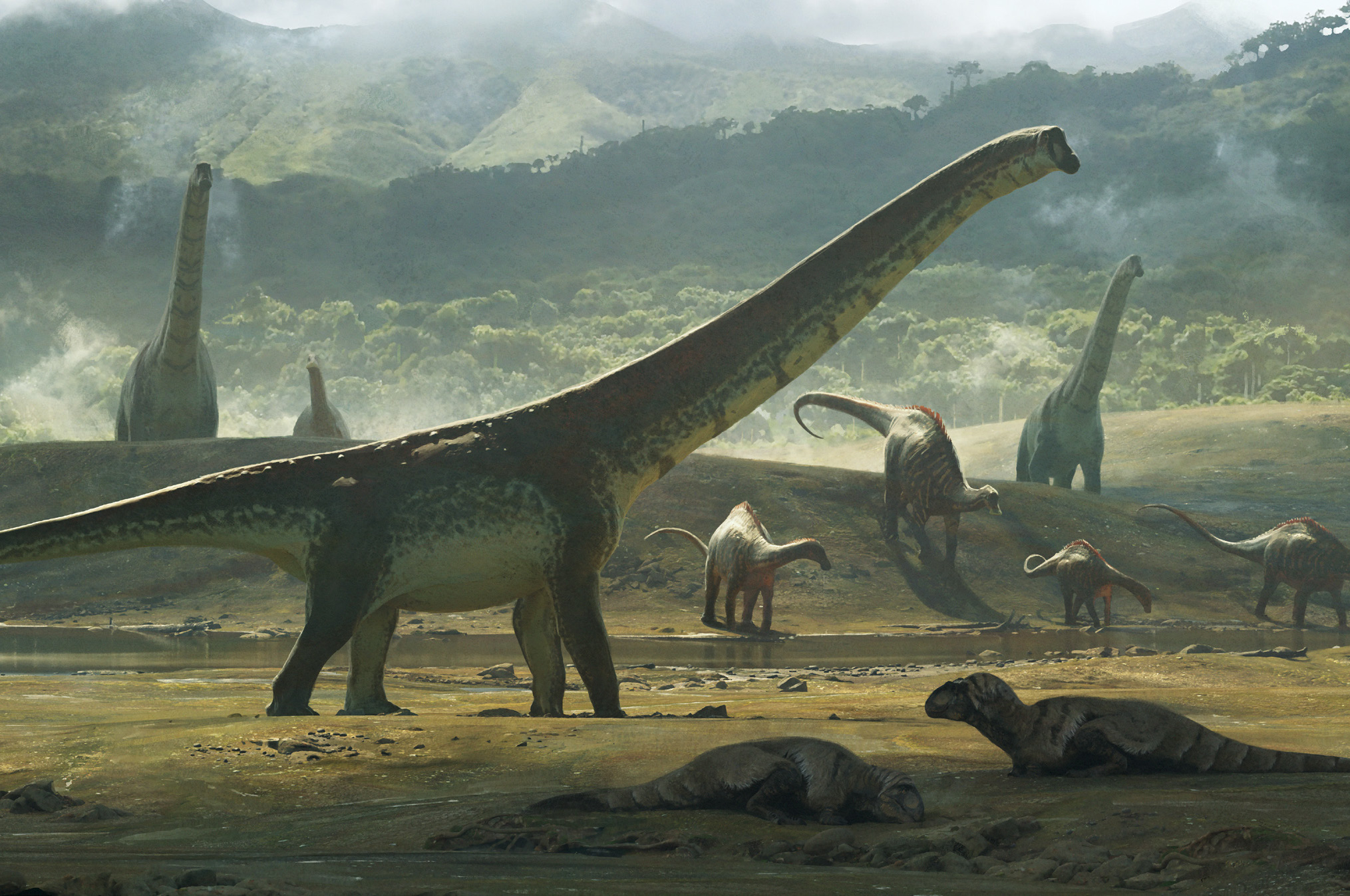 Sauropod dinosaurs such as Argentinosaurus evolved larger body sizes than any other group of terrestrial animals.   (Illustration by Chase Stone)