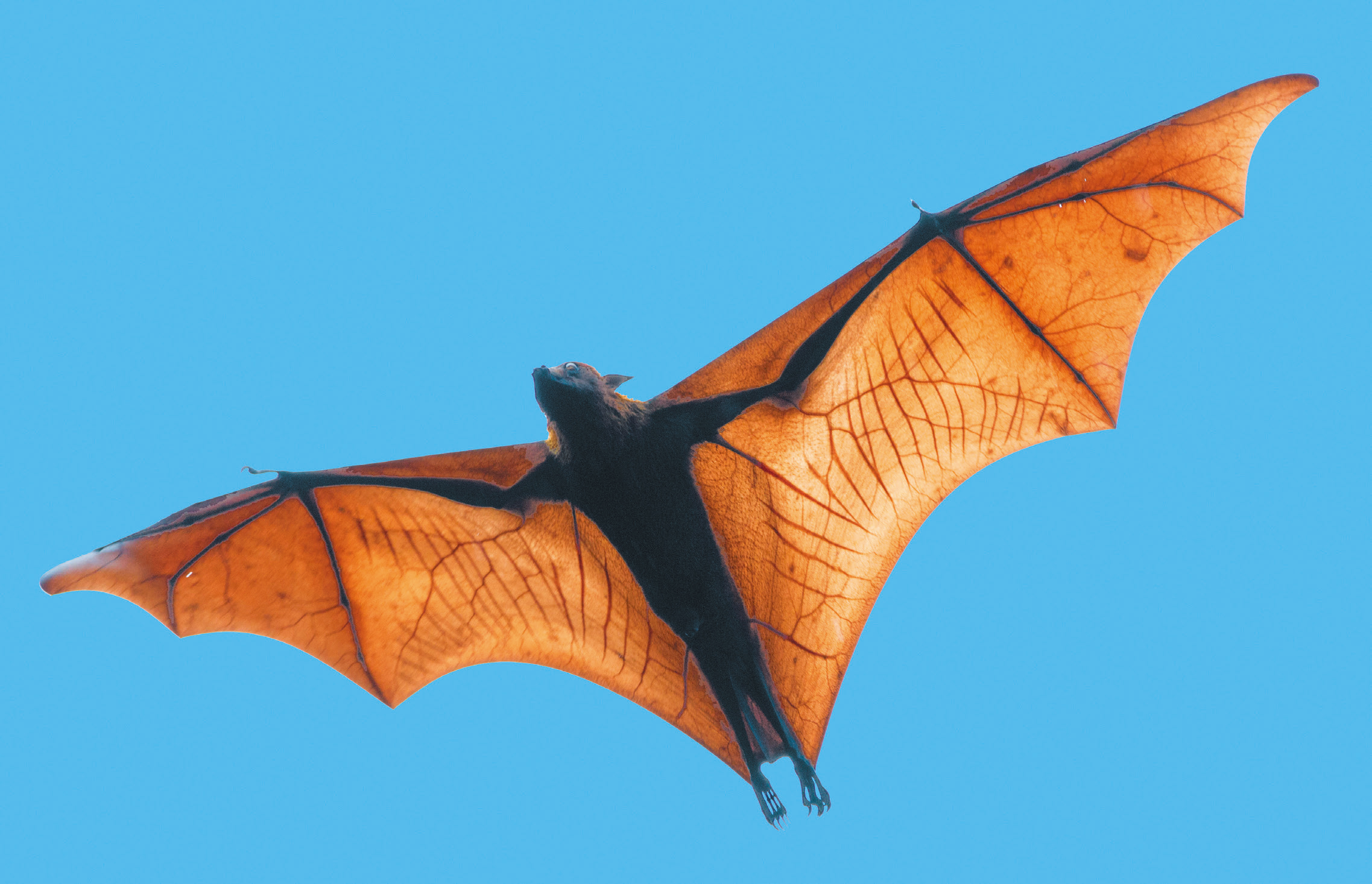 (Bill Coster /Alamy Stock Photo)