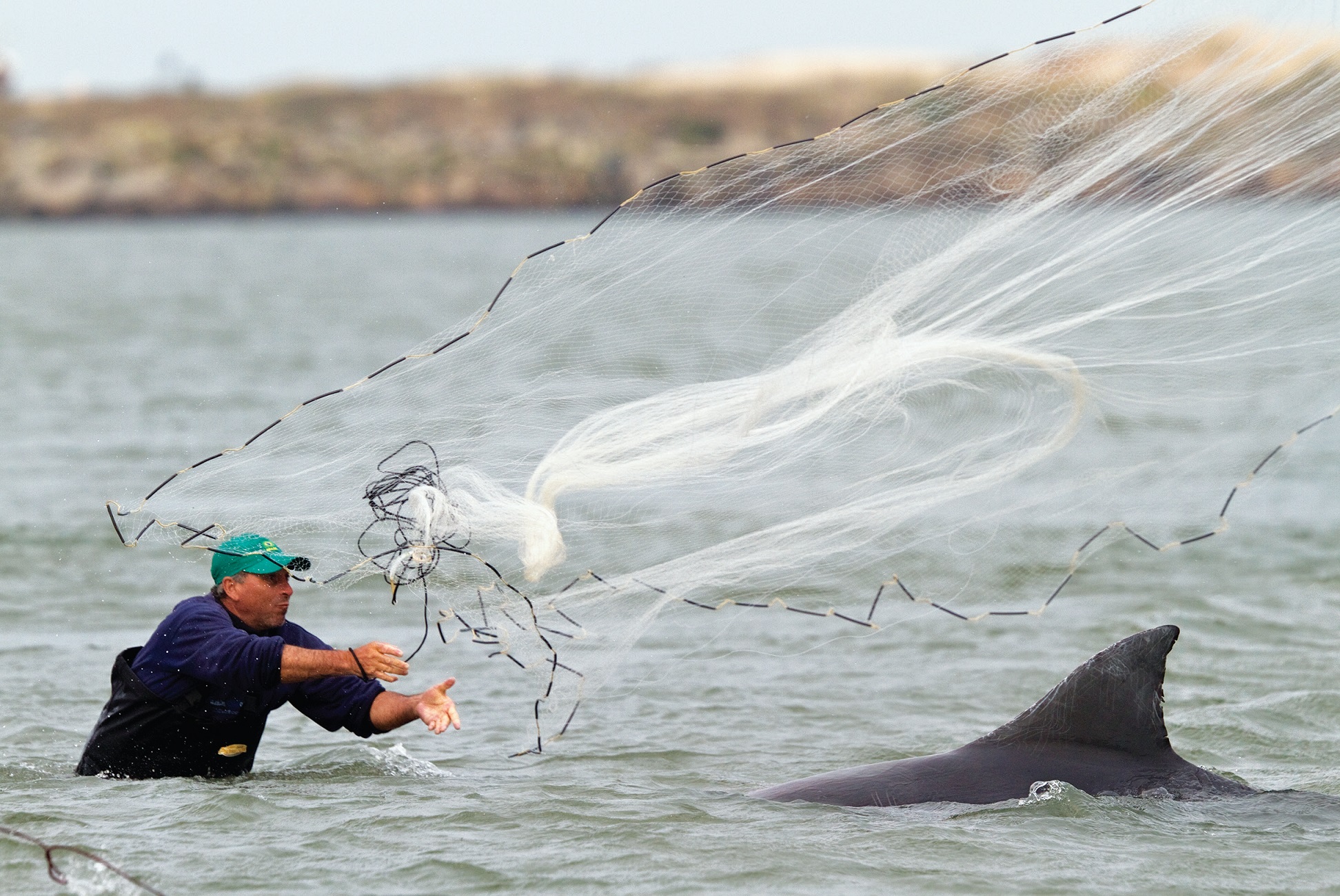 A dolphin and a fisher in Laguna, Brazil. (credit: Angelo Gandolfi/Minden Pictures)