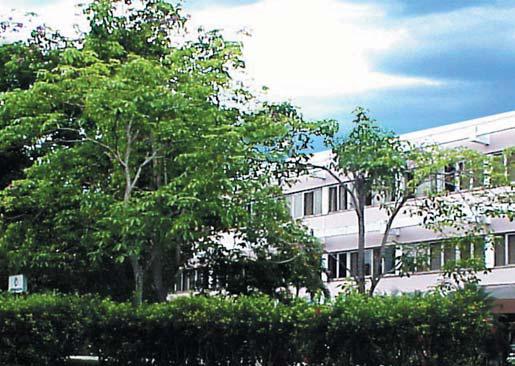 哈瓦那的腦外科：國際神經復原中心已在將近 80 位病人身上進行了視丘下核切除術。影像來源/ INTERNATIONAL CENTER FOR NEUROLOGICAL RESTORATION (CIREN)