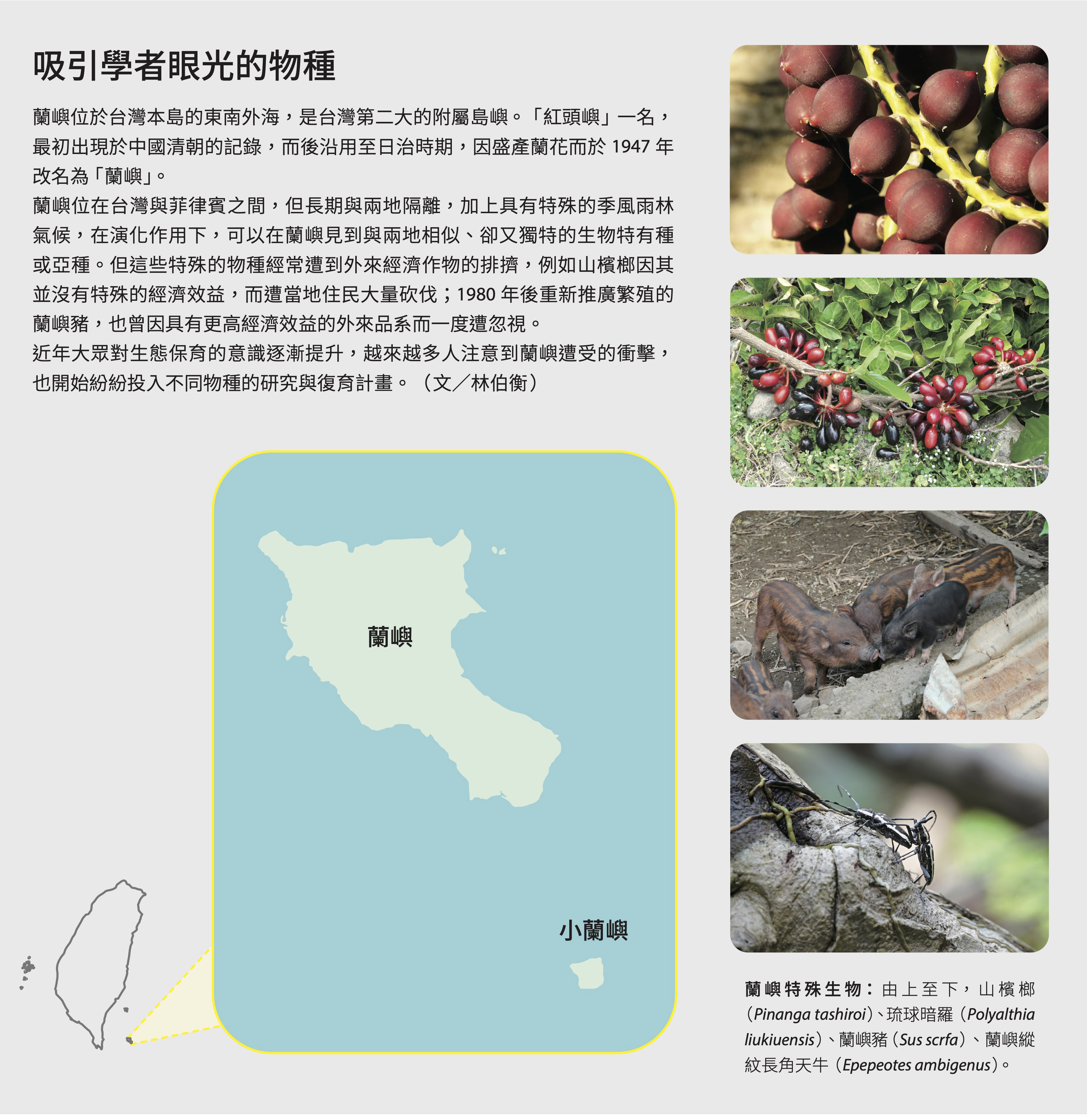 蘭與蘭嶼：復育的尋根之旅｜科學人