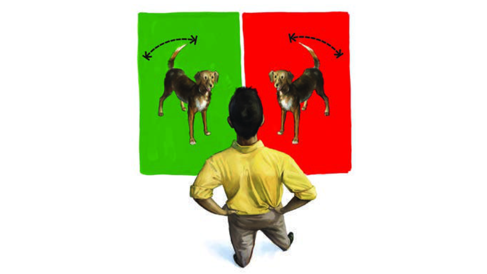 (ILLUSTRATION BY MATT COLLINS)