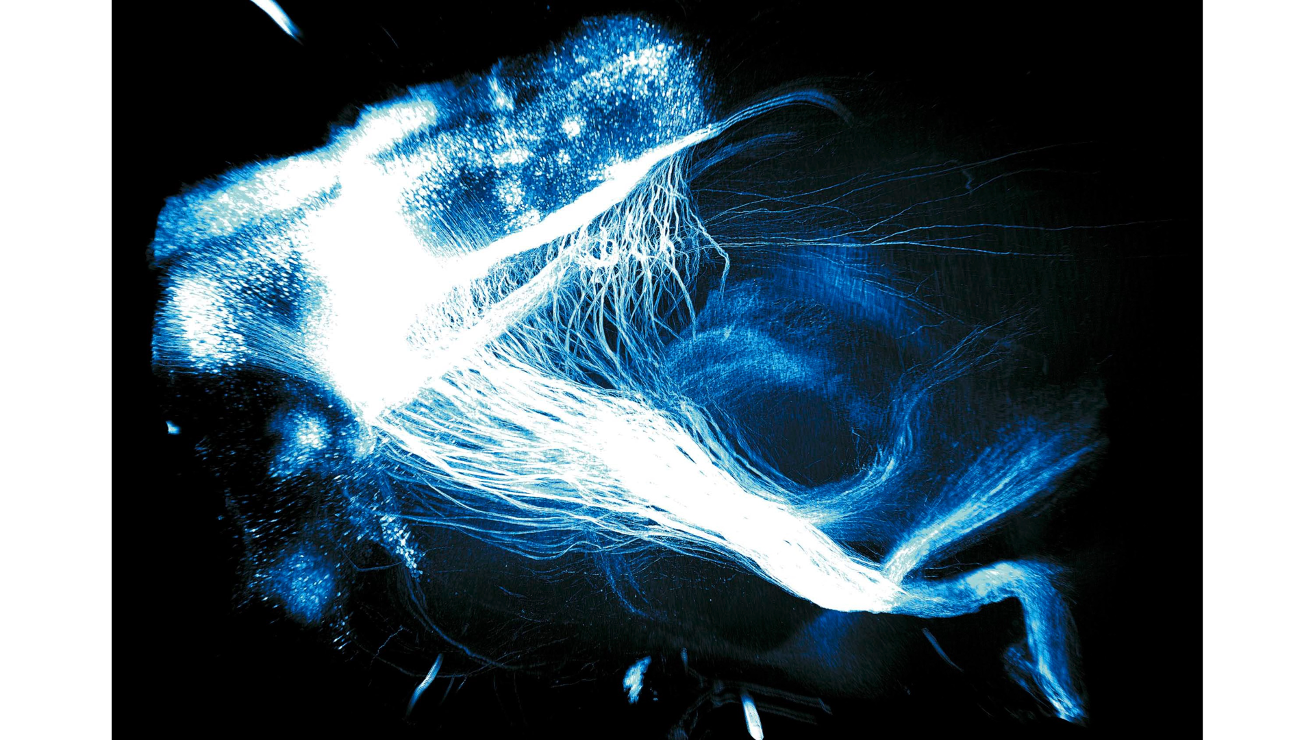 COURTESY OF DEISSEROTH LAB Stanford University AND LI YE