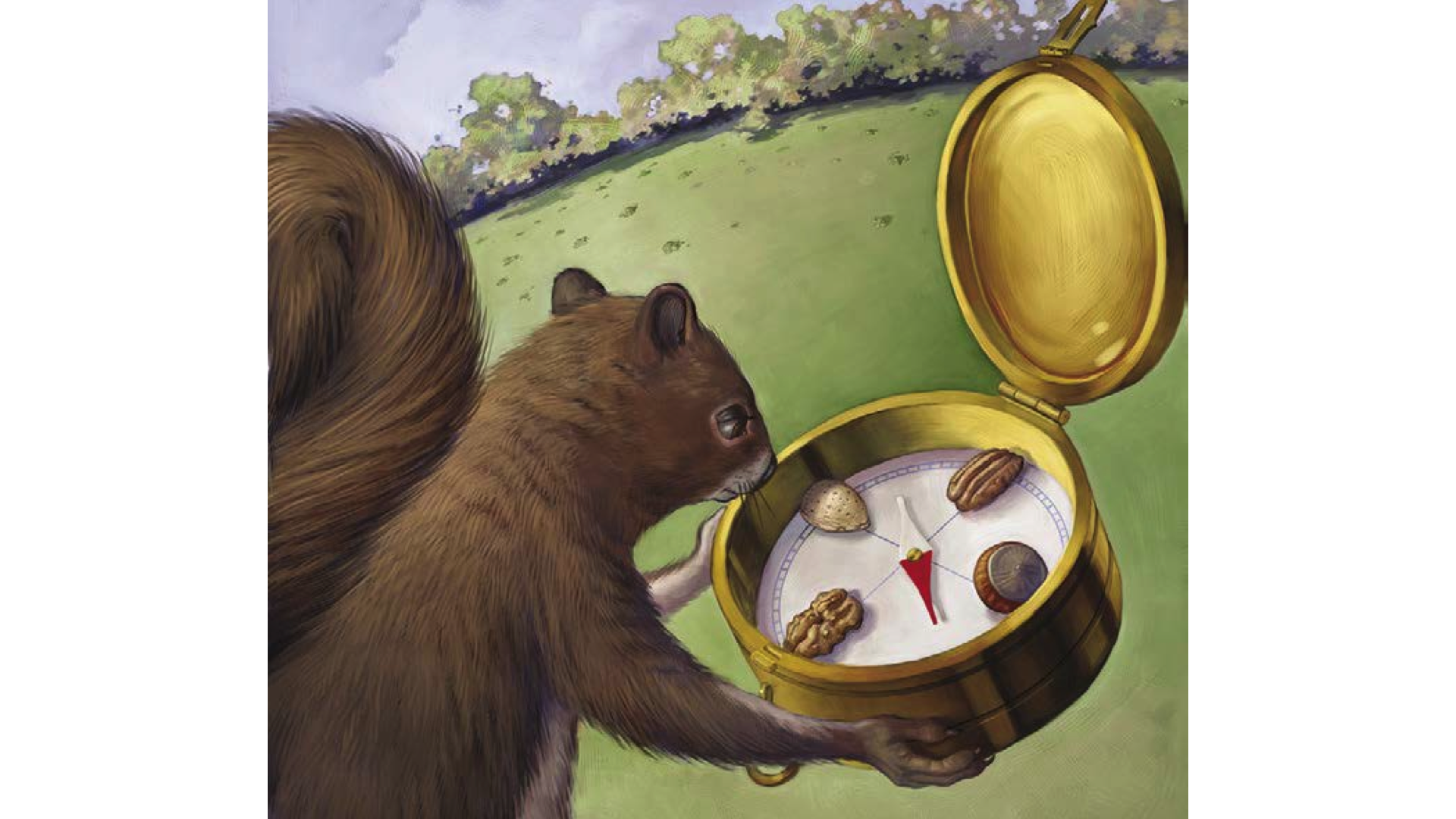 ILLUSTRATION BY MATT COLLINS