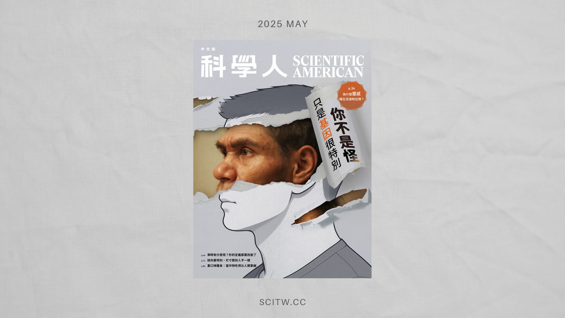 文章圖片