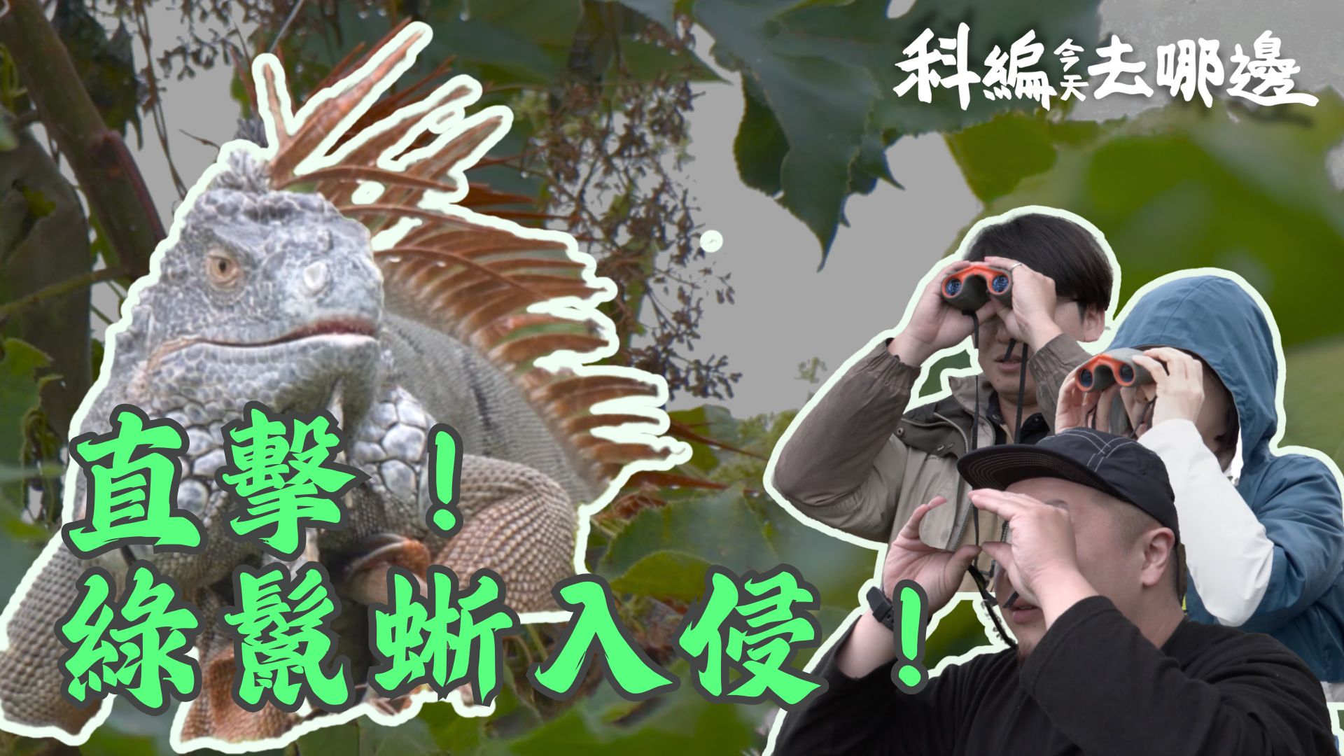 文章圖片