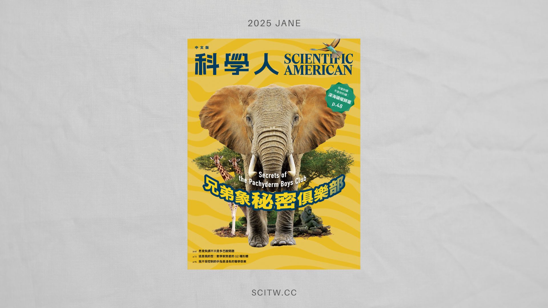 文章圖片