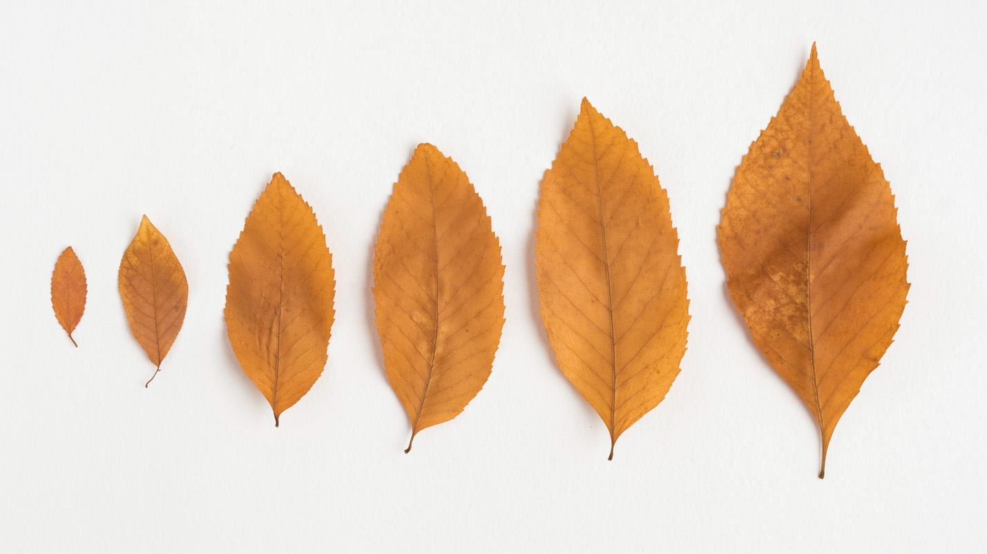 圖片來源：freepik