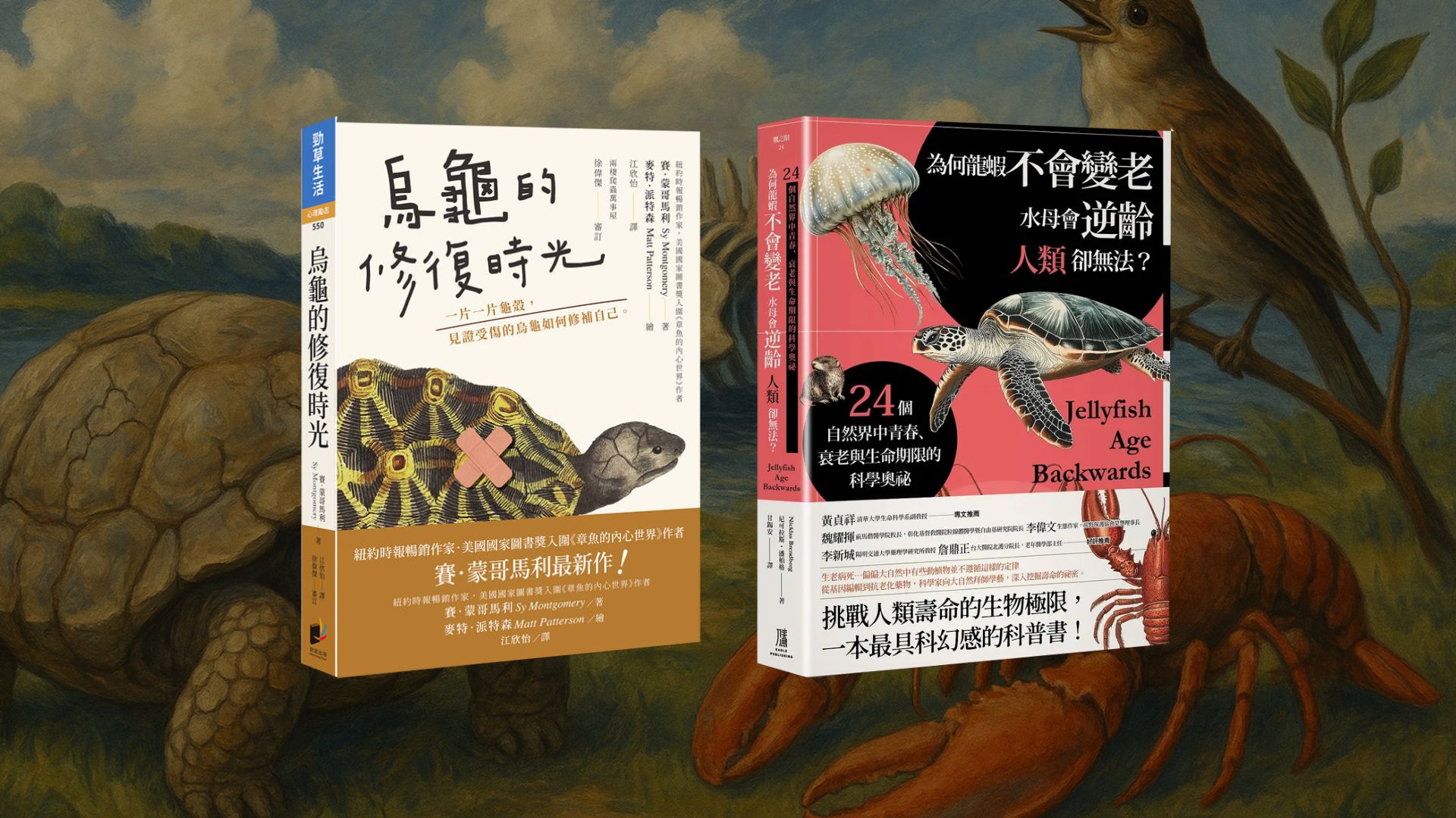 文章圖片