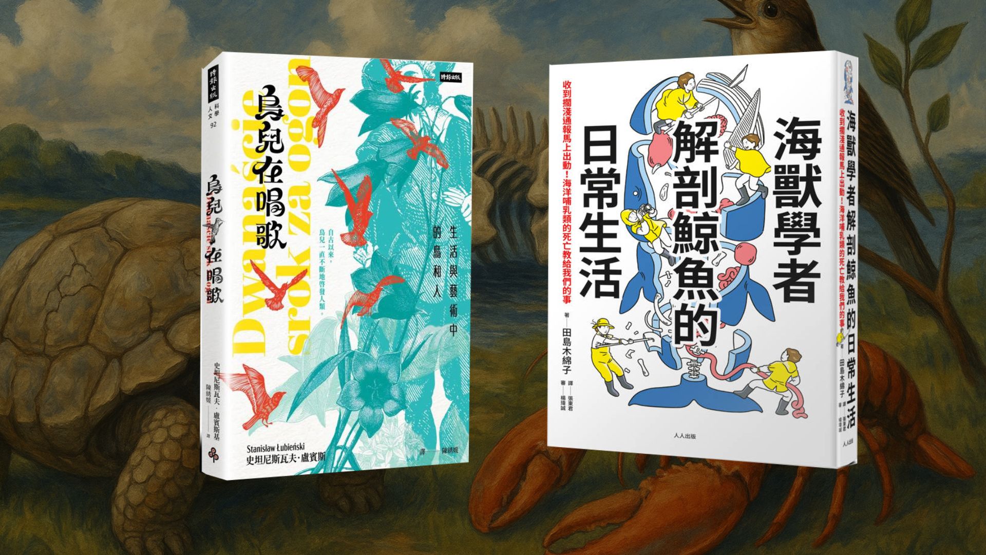 文章圖片
