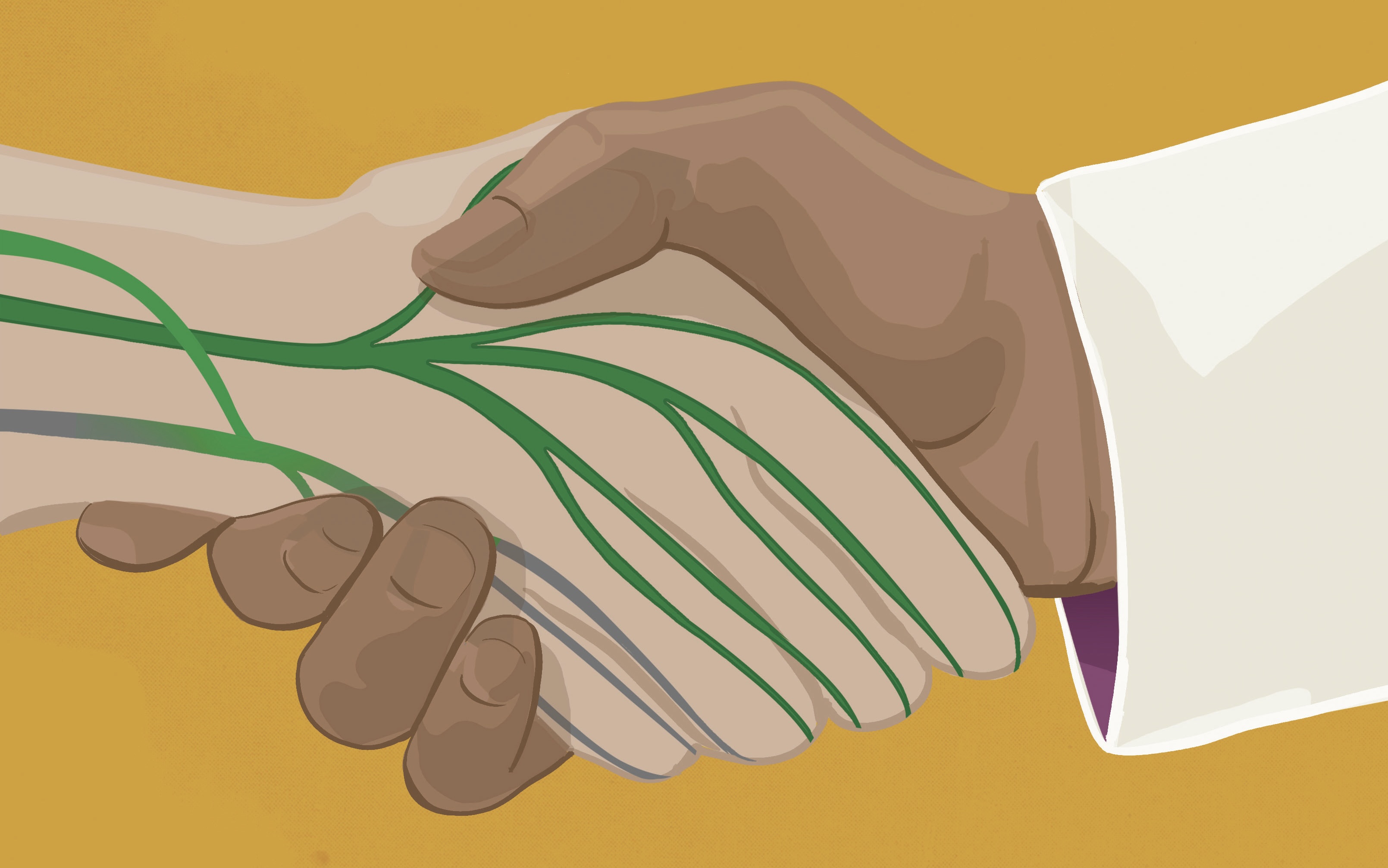 繪圖／法爾科納（Sam Falconer）