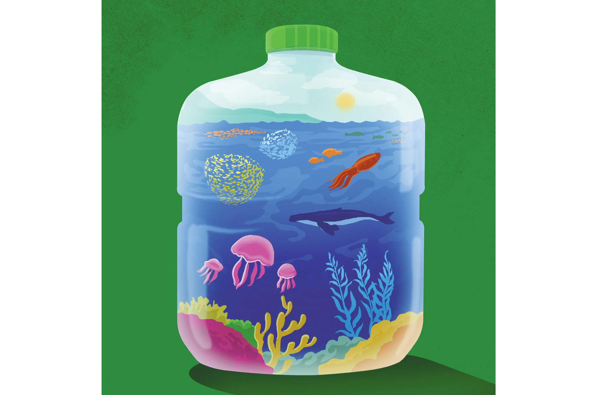 繪圖／法爾科納（Sam Falconer）