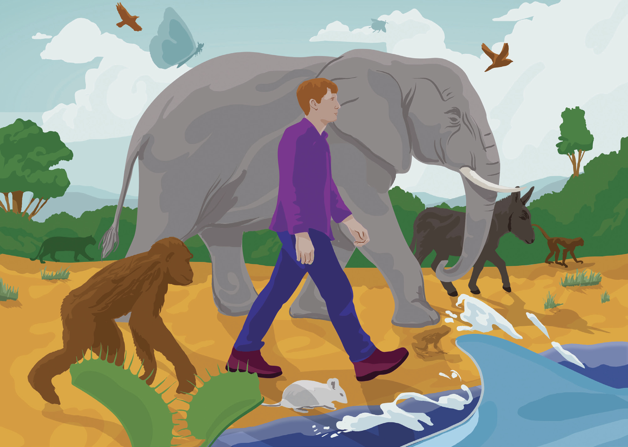 繪圖／法爾科納（Sam Falconer）