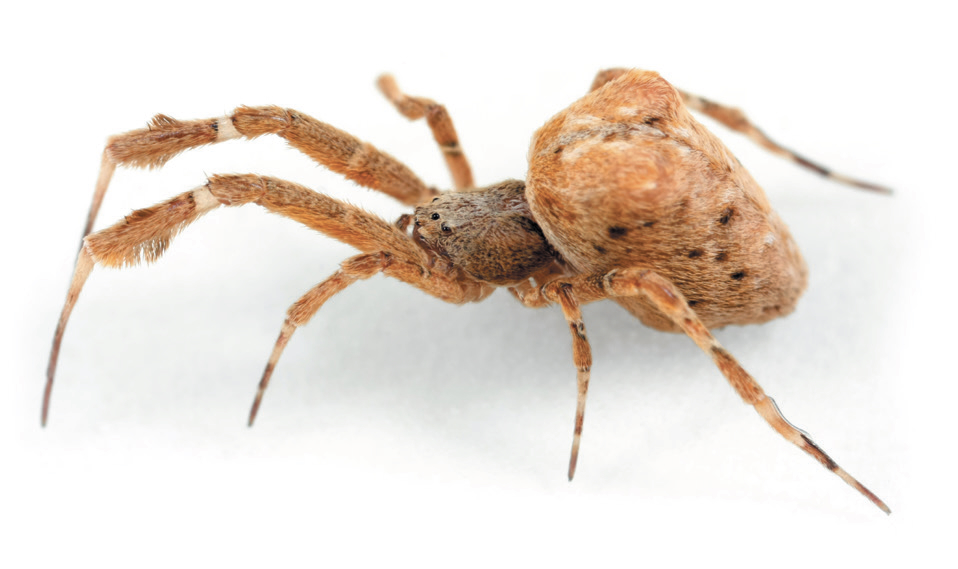 Stefan Sollfors/Alamy Stock Photo