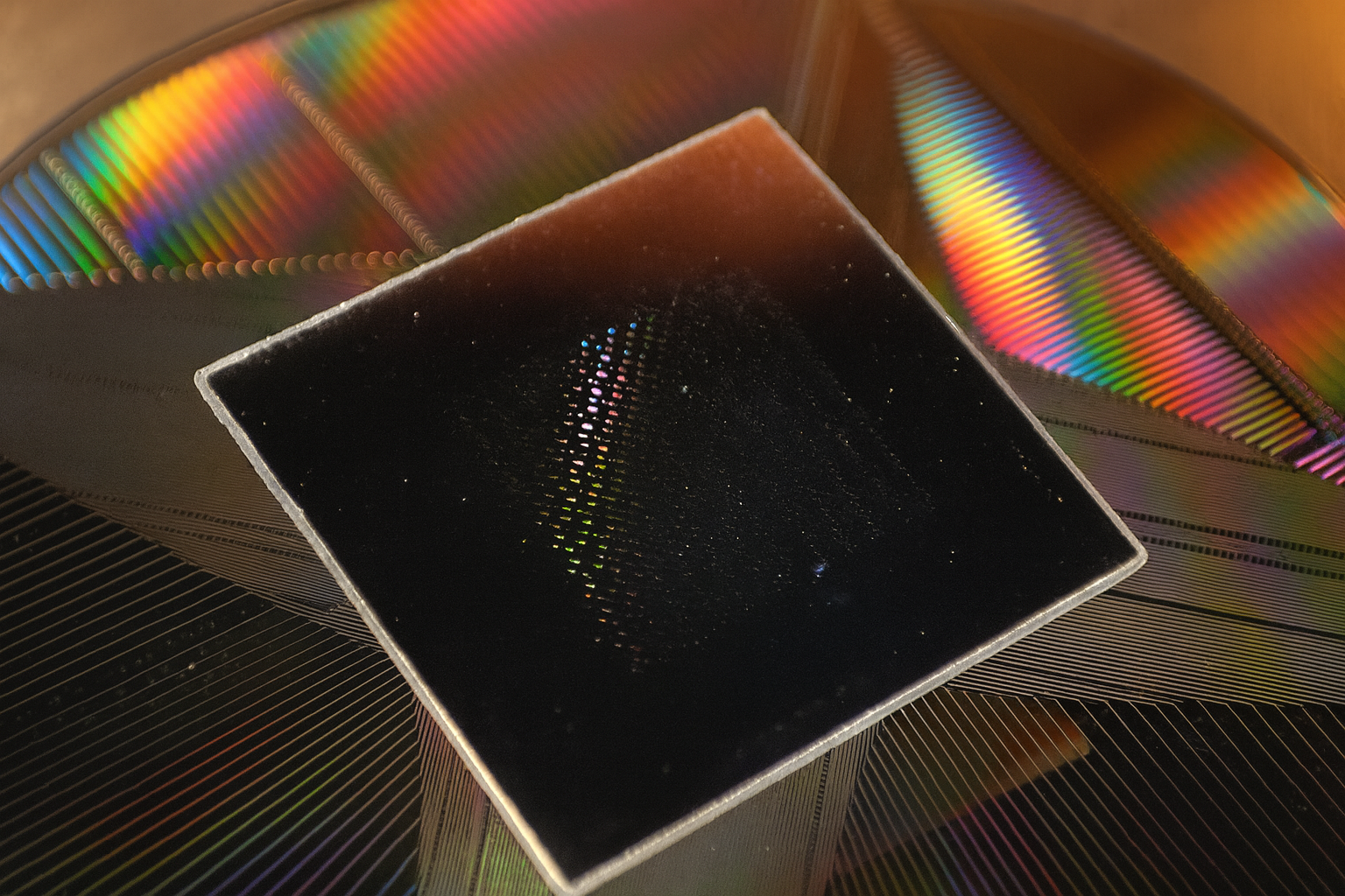 照片來源：浙江大學