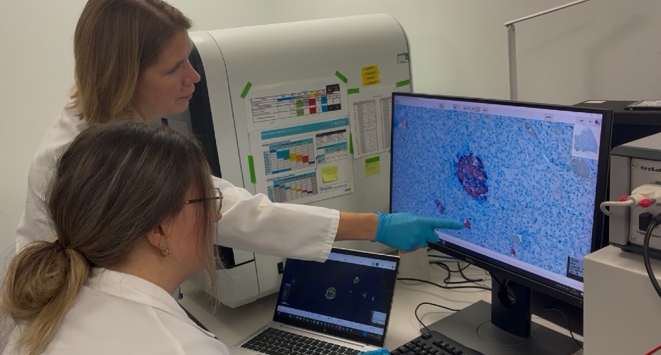 英國艾希特大學的研究團隊檢視胰臟切片影像（照片來源：University of Exeter）