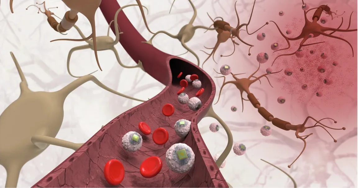 圖片來源：Yadav et al.(2025). Nature Biotechnology