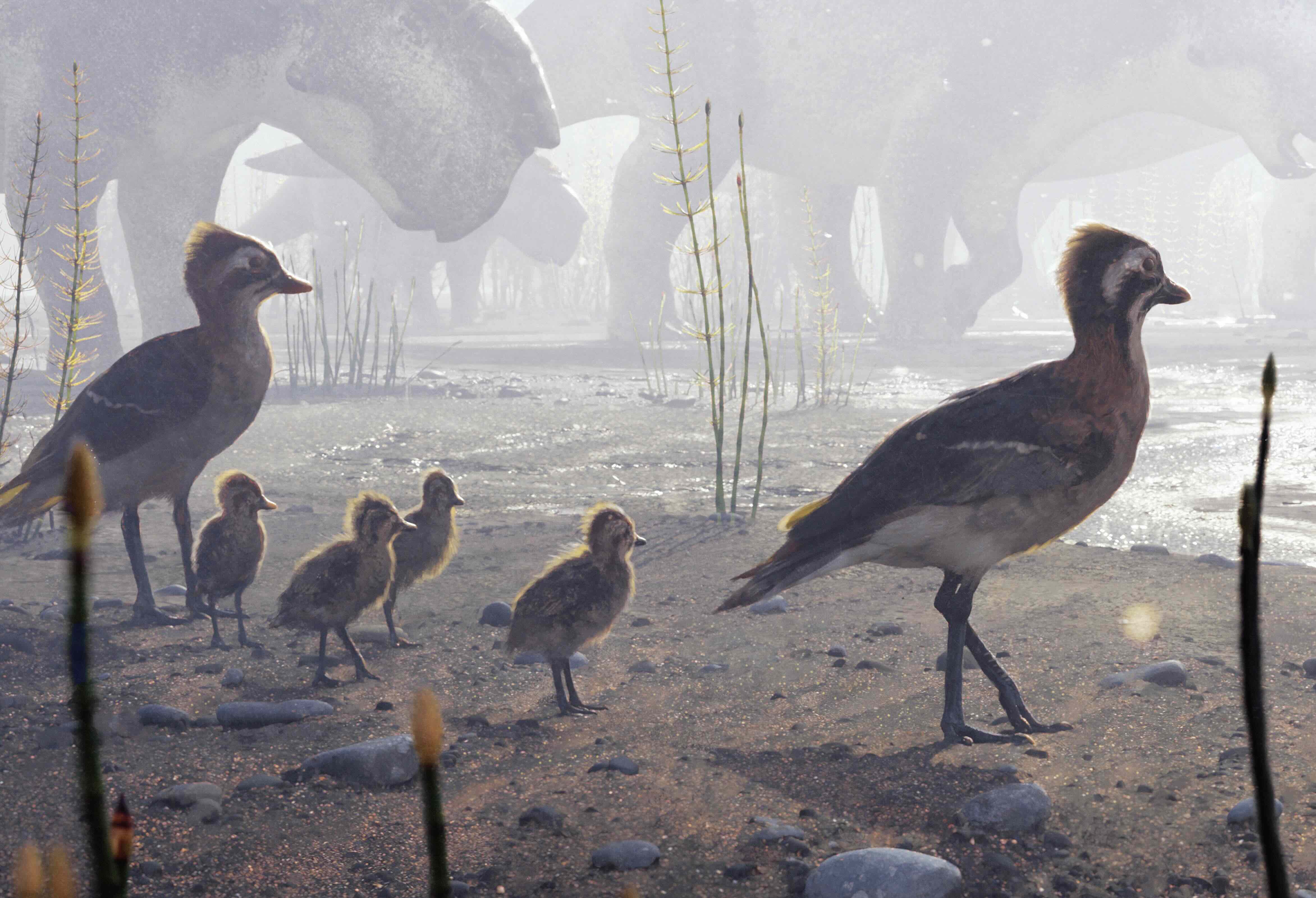 和平共存：7300萬年前，一對今鳥類和牠們孵化不久的雛鳥在沿岸泛濫平原上活動。這片土地上也有恐龍棲息，例如在後方的厚鼻龍（Pachyrhinosaurus）。這裡如今是阿拉斯加北部。｜繪圖／史東（Chase Stone）