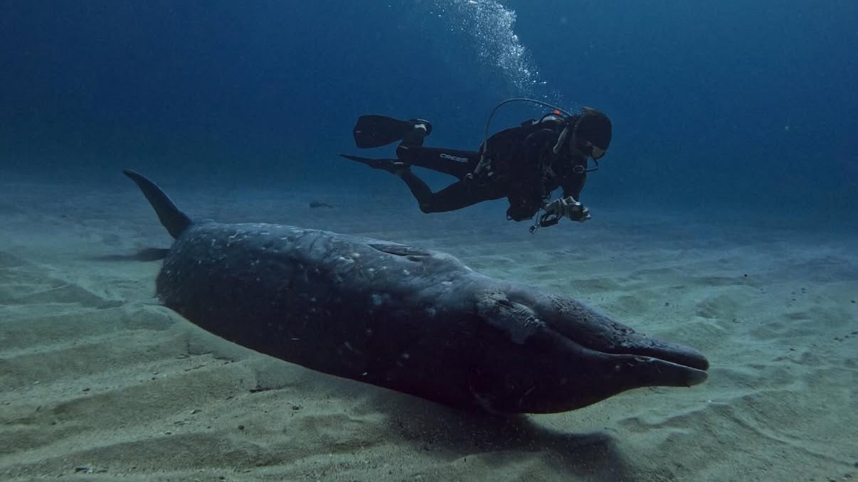 照片來源：knctro@Threads