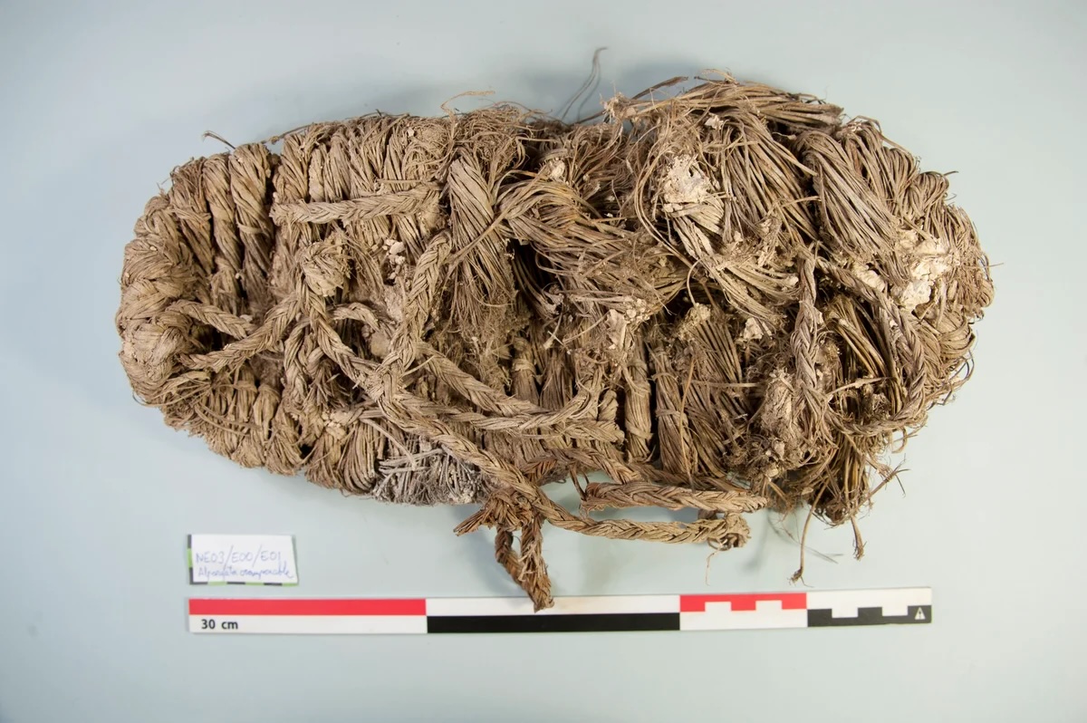 A shoe, more than 670 years old, was one of 25 found in the top layers of 12 vulture nesting sites. It is a design that was typically worn for a few days before being repaired or replaced. ｜Lucia Agudo Perez