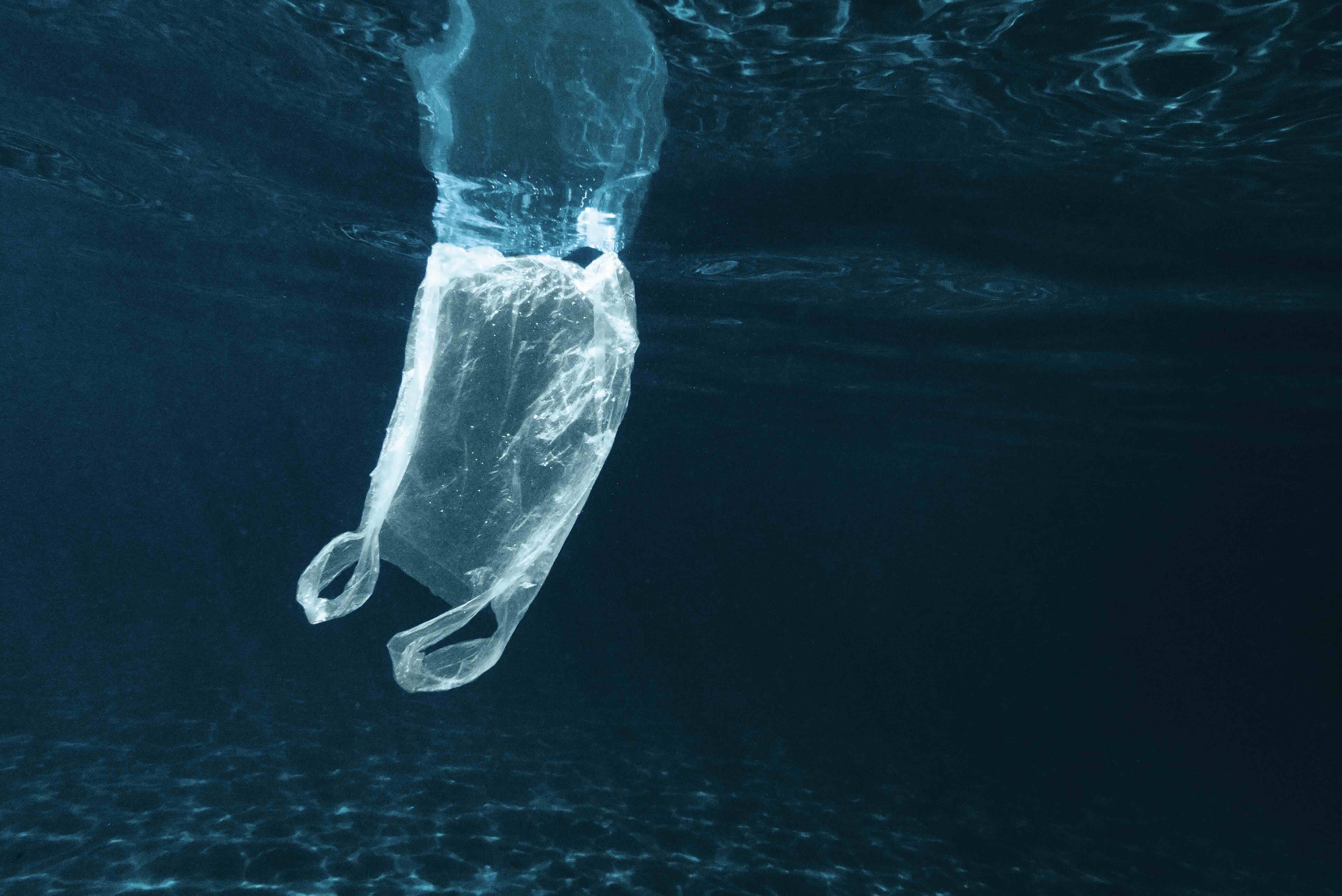 Ross Woodhall/Getty Images/Image Source