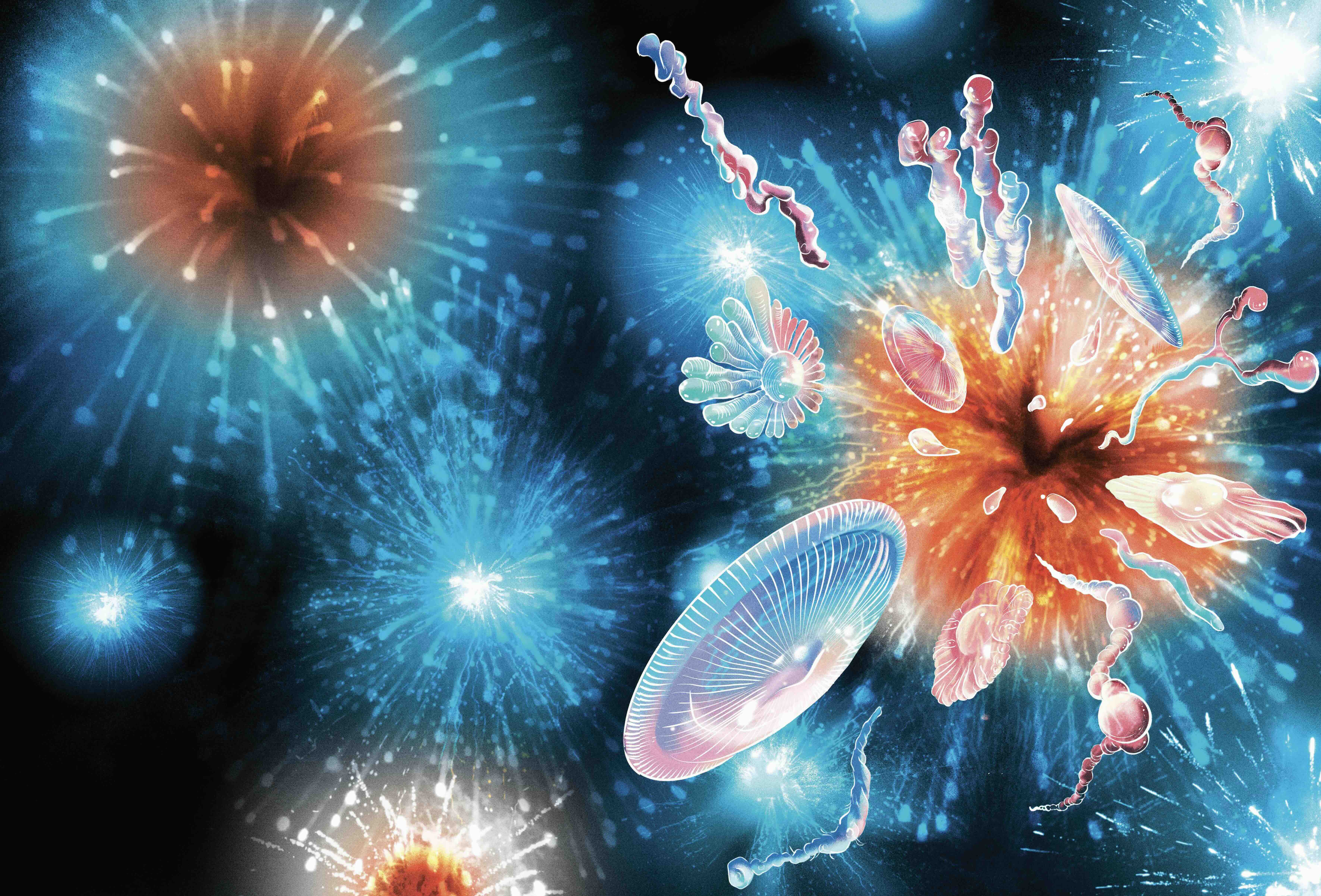 繪圖╱梭特斯（Deena So'Oteh）