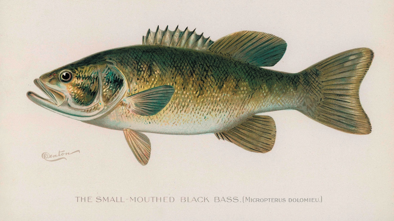 Ana Maria Tudor/Alamy Stock Photo