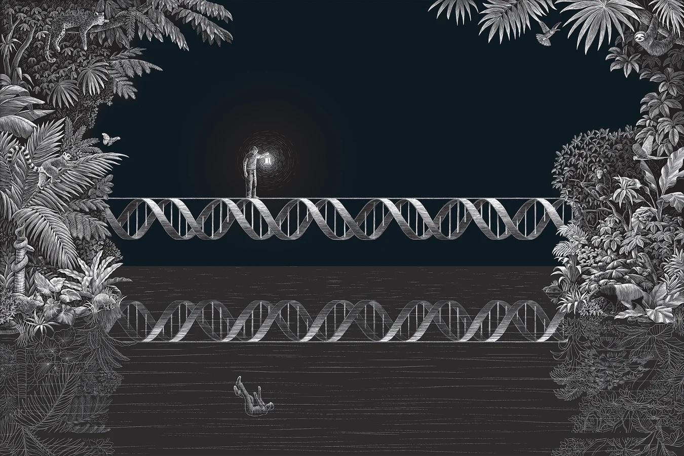 繪圖／伯爾斯瑪（Alex Boersma）