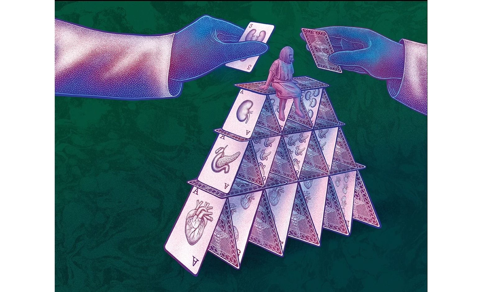 繪圖／史密斯（Jennifer N. R. Smith）