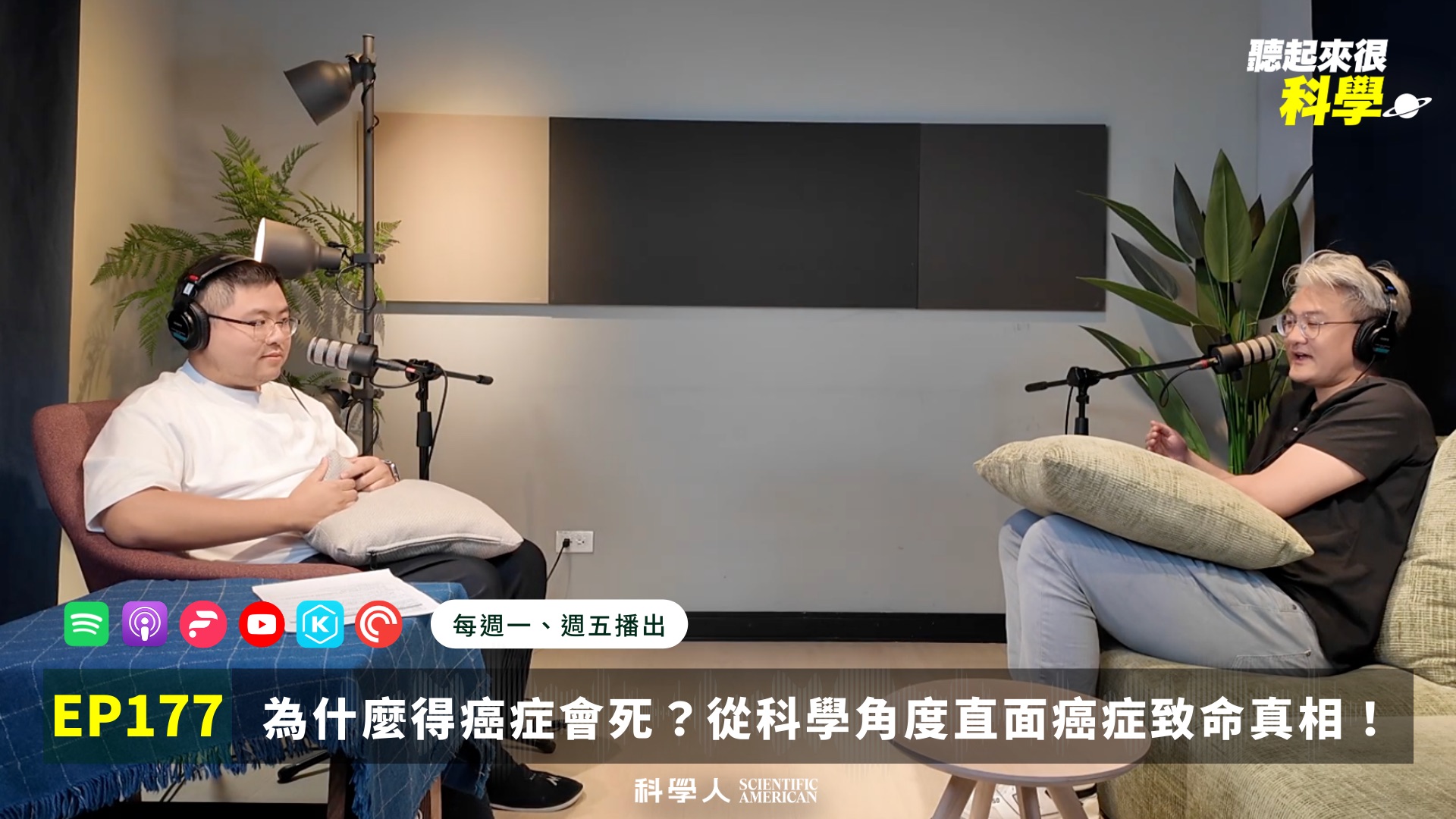 文章圖片