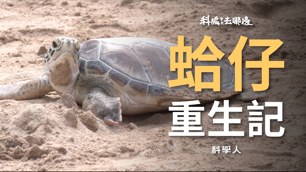 文章圖片
