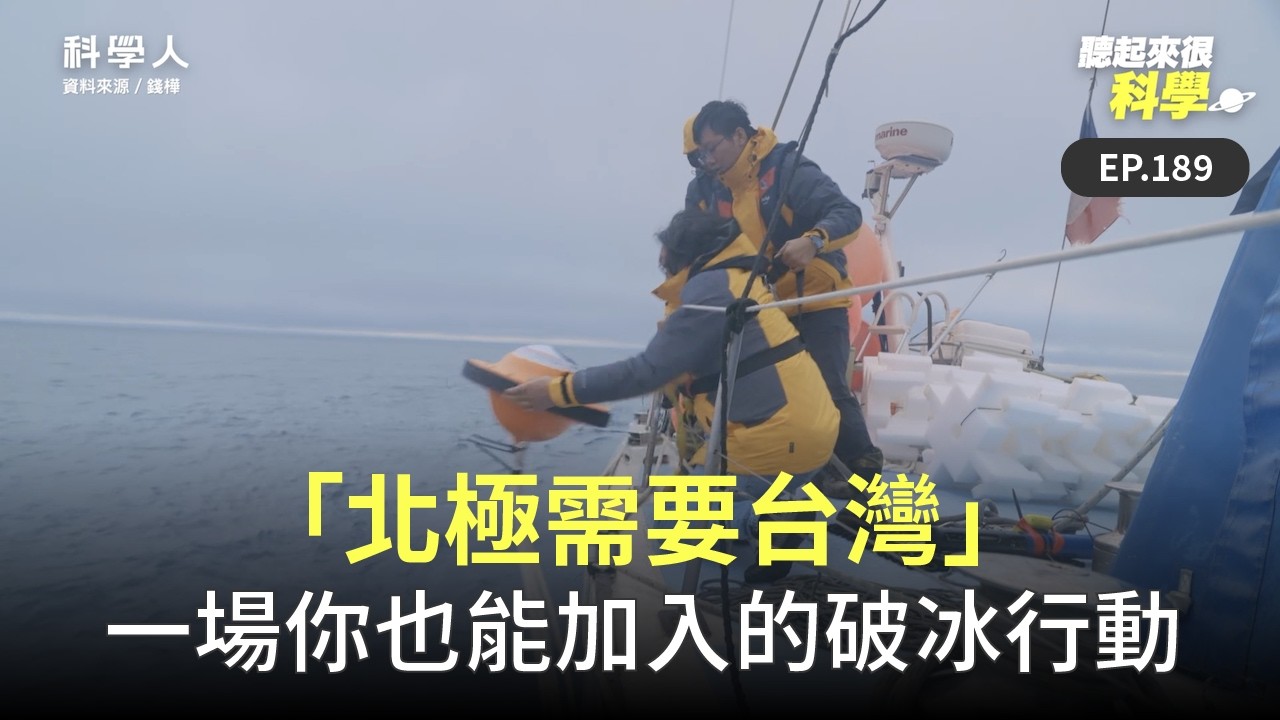 文章圖片