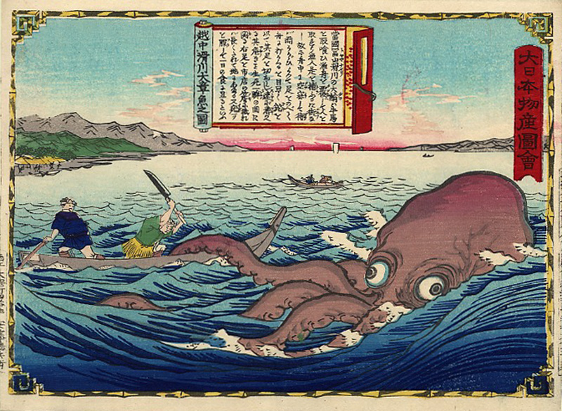 隨著更多科學證據的發現，人們也揭開更多對於古代章魚的神秘面紗。圖片來源：Wikmedia Commons