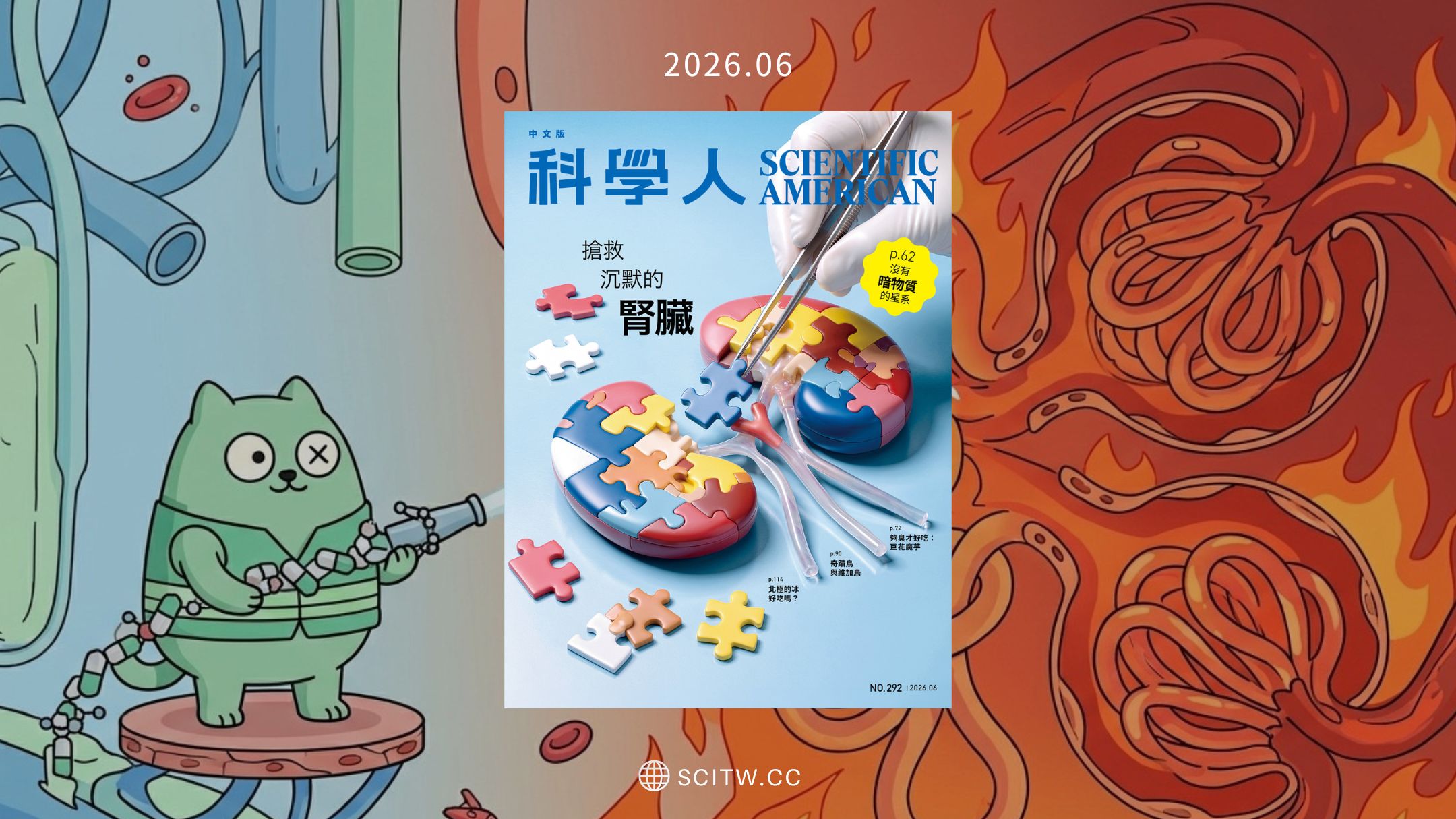 文章圖片