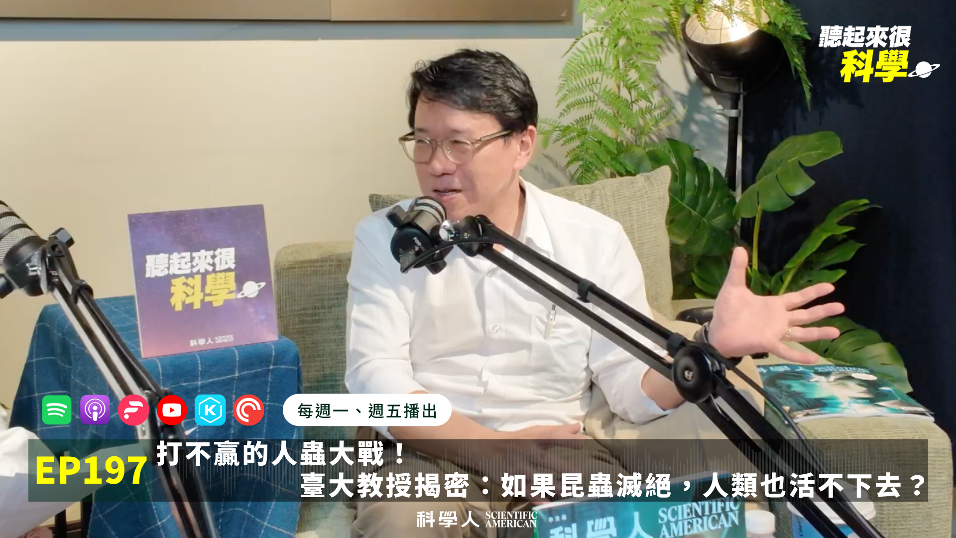 文章圖片