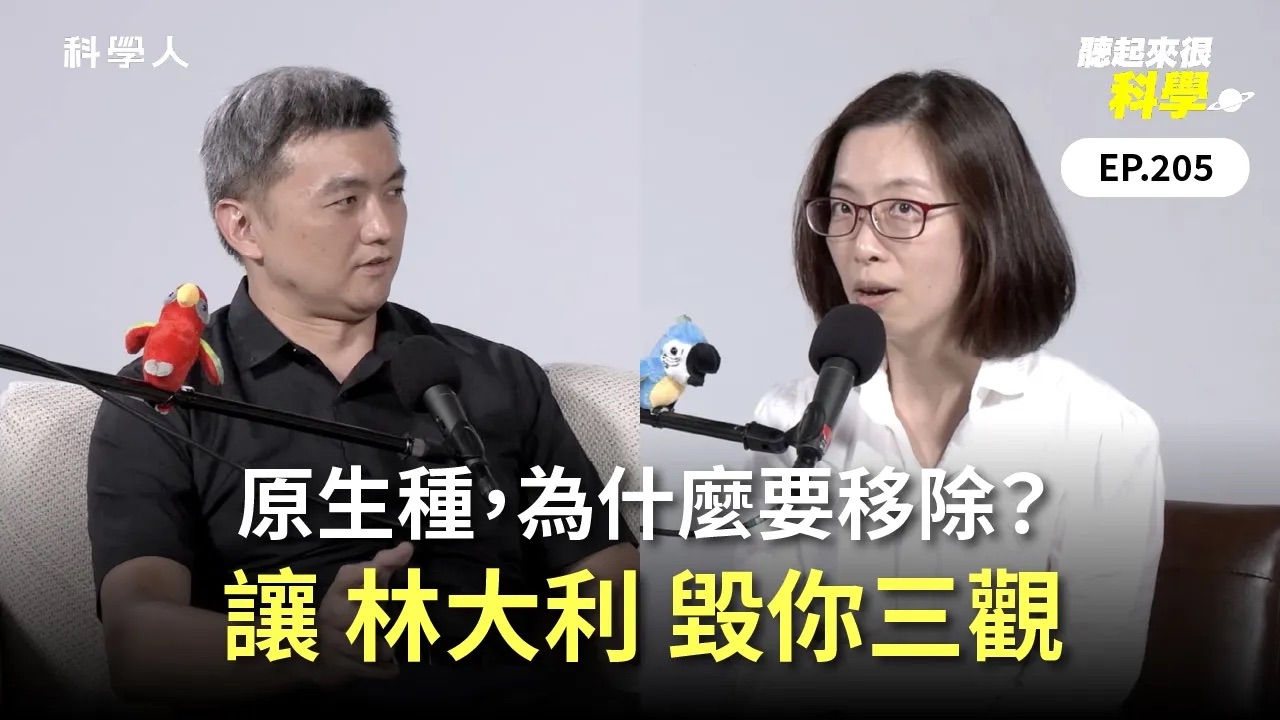 文章圖片