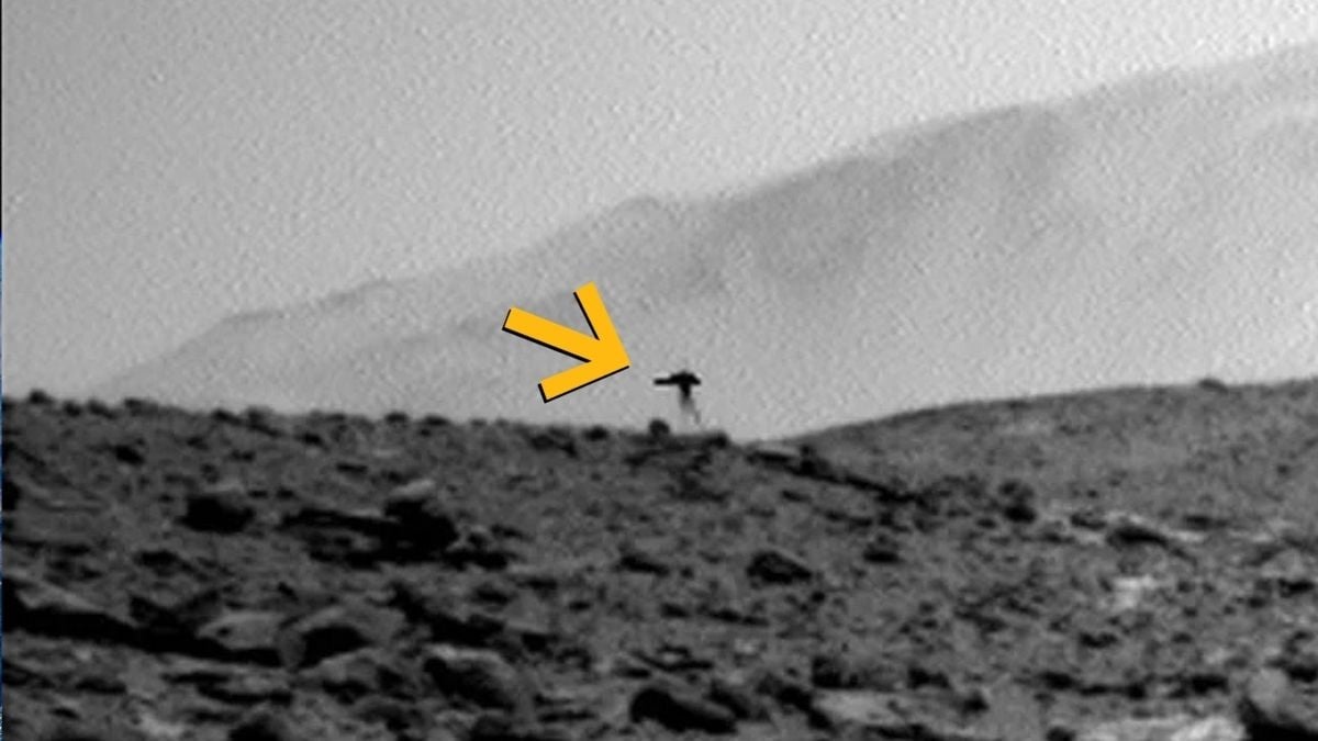 奇怪的水母？還是更奇怪的東西？（NASA／JPL-Caltech）