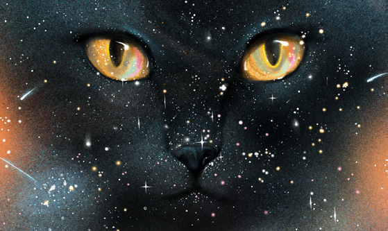 Illustration by Masha Foya